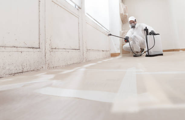 24/7 Emergency Mold Remediation experts in Honey Grove, TX